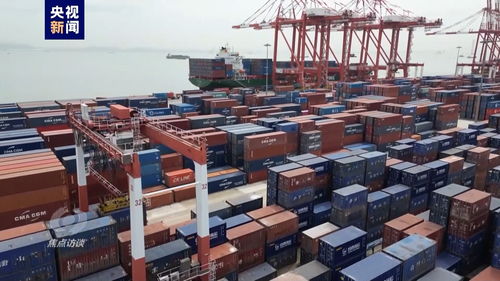 偉大的歷史變革丨高水平對(duì)外開放引領(lǐng)普通貨物倉儲(chǔ)服務(wù)轉(zhuǎn)型升級(jí)